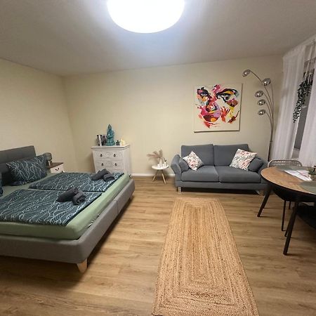 Litzi Apartment Μπάντεν-Μπάντεν Εξωτερικό φωτογραφία